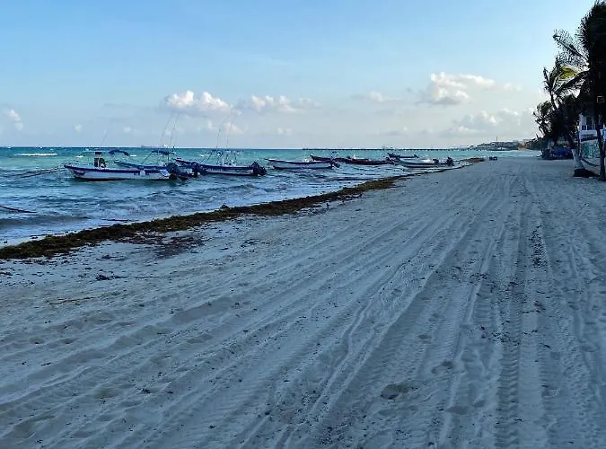 Apartamento Blue Angel 1 Aunos Pasos De La 5 Av Playa del Carmen